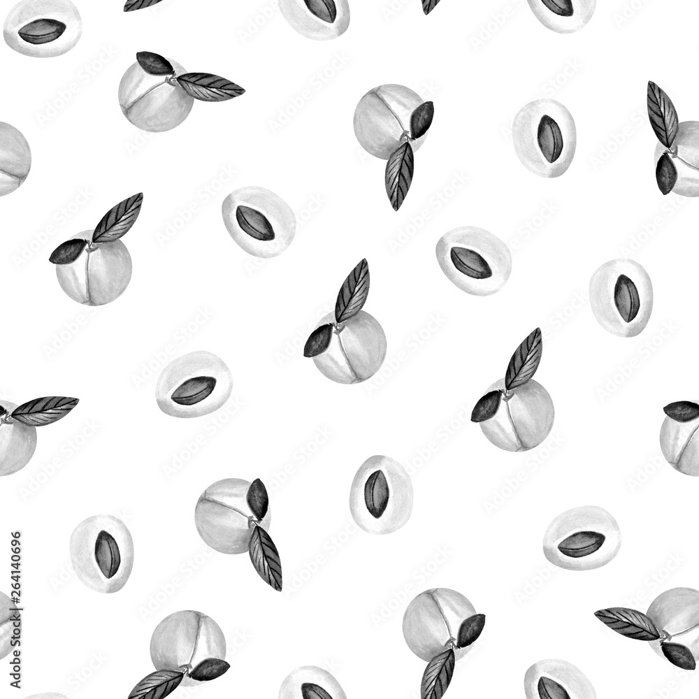 Black and white watercolor illustration with colorful apricots on white background. Watercolour print on white background for fabric, tectile, paper. Seamless pattern