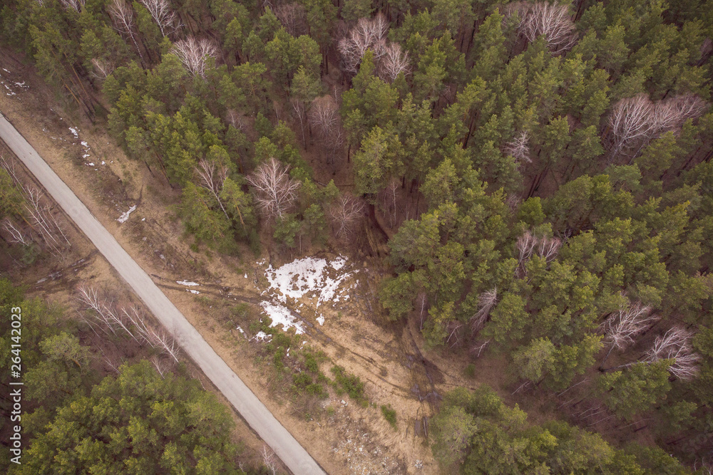Spring forest with asphalt road and traces of cars on ground, view from drone