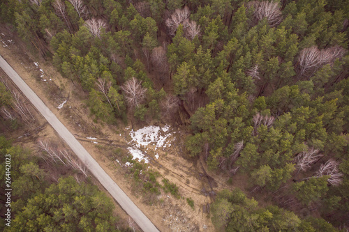 Obraz na płótnie Spring forest with asphalt road and traces of cars on ground, view from drone w salonie