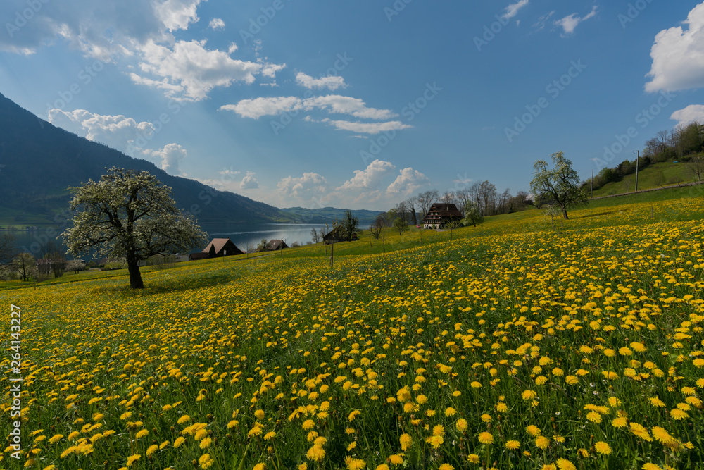 idyllic Swiss countryside with traditional farm in a lake and mountain landscape setting