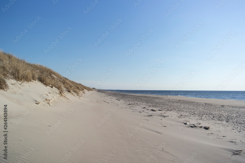 Sea grass sways in the Baltic Beach ocean breeze. Sea grass sways in the Baltic Beach ocean breeze.