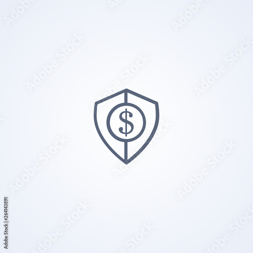 Financial security, vector best gray line icon