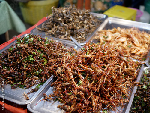 Appetizers, street food, fried insects