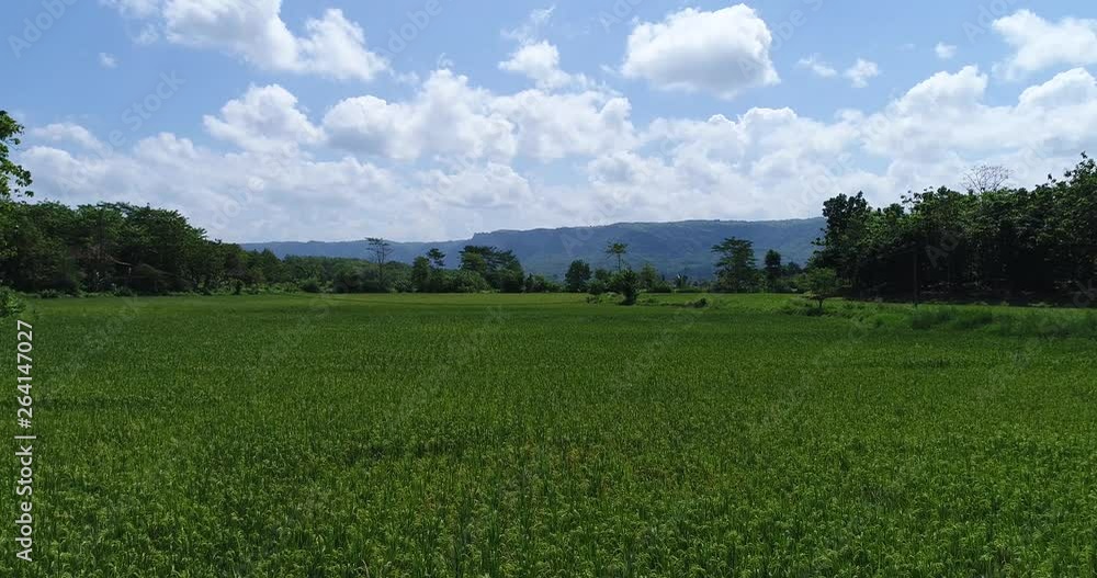 explore rice field explore rice field