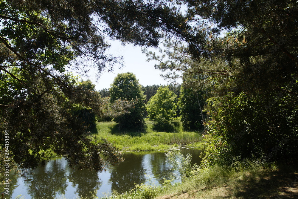 Flusslandschaft, spree, brandenburg, Bäume, wald Flusslandschaft, spree, brandenburg, Bäume, wald