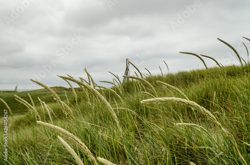 Denmark beach