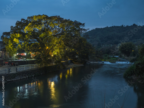 banyan tree © CHRISTOPHER