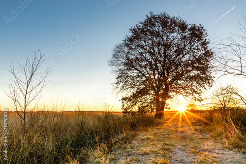 colorful winter sunrise on a field with tree in recker moor