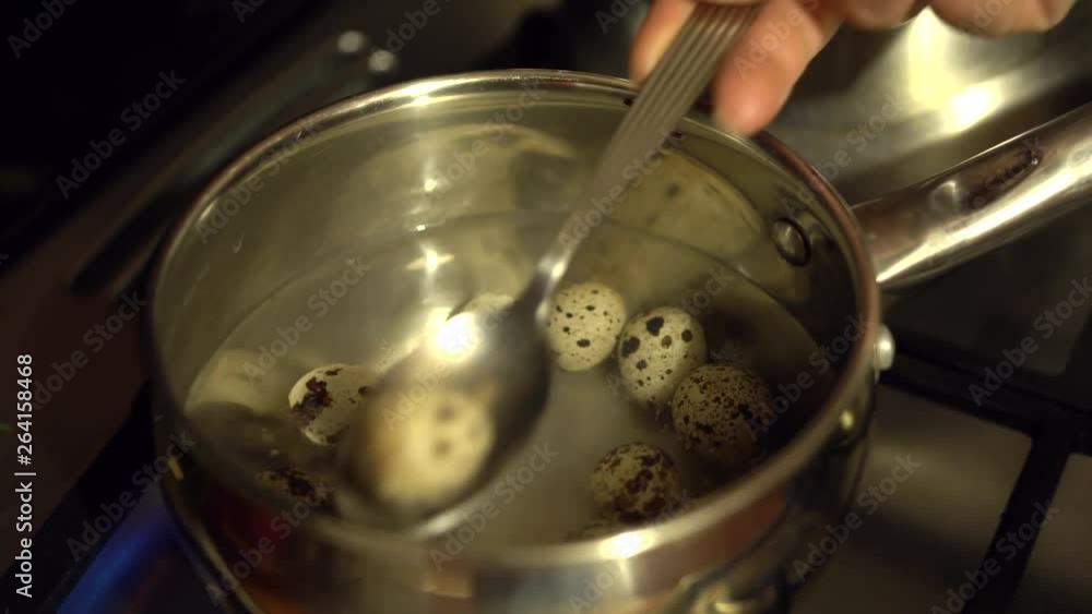 Putting quail eggs in boiling water. White easter eggs in a pan of water. Closeup of small boiled egg. Cooking many eggs at once. Putting quail eggs in boiling water. White easter eggs in a pan of water. Closeup of small boiled egg. Cooking many eggs at once.