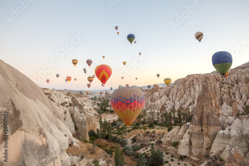 Hot air balloons flying over rock landscape at Cappadocia © Johan Sky