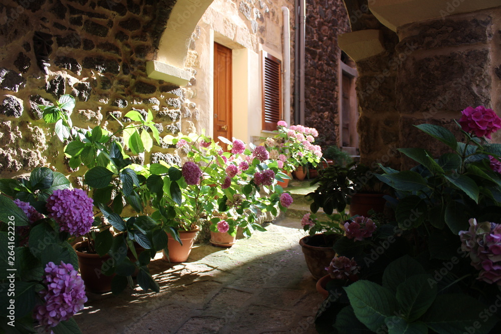 Flower pots in sunlight under stone arch in europe 