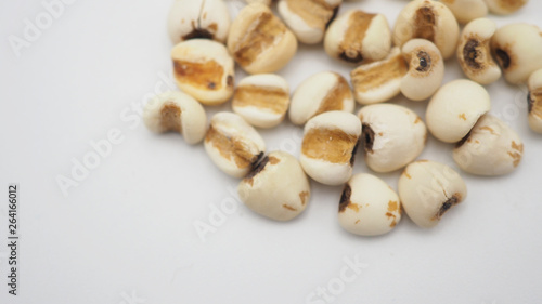 Job's Tears, also known as adlay and coix on white background. Popular in Asian cultures as a food source.