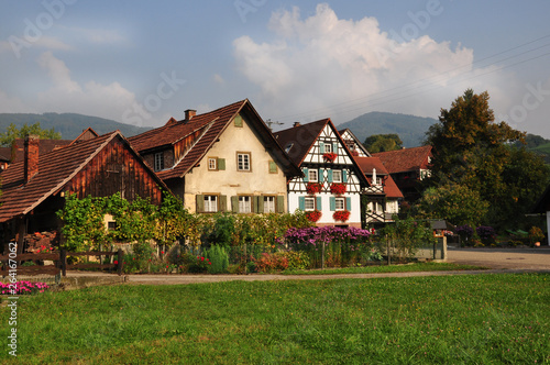Wallpaper Mural old house in village Torontodigital.ca