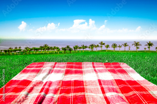 Blanket on grass and free space for your decoration 
