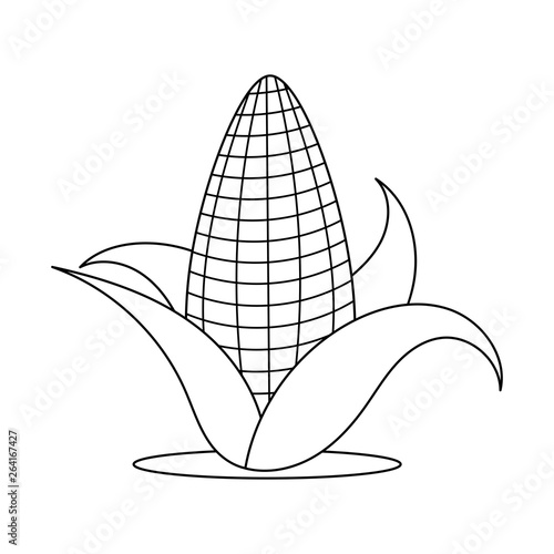 Funny isolated yellow corn with green leaves. White background. Black and white sketch, element for a colouring book. Cartoon style illustration. Vector.