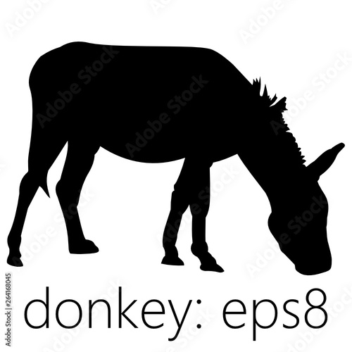 Donkey silhouette from the side, black. Contour of a wild donkey or ass (Equus africanus asinus), eating grass, up on its feet. Eps 8, graphic resource.