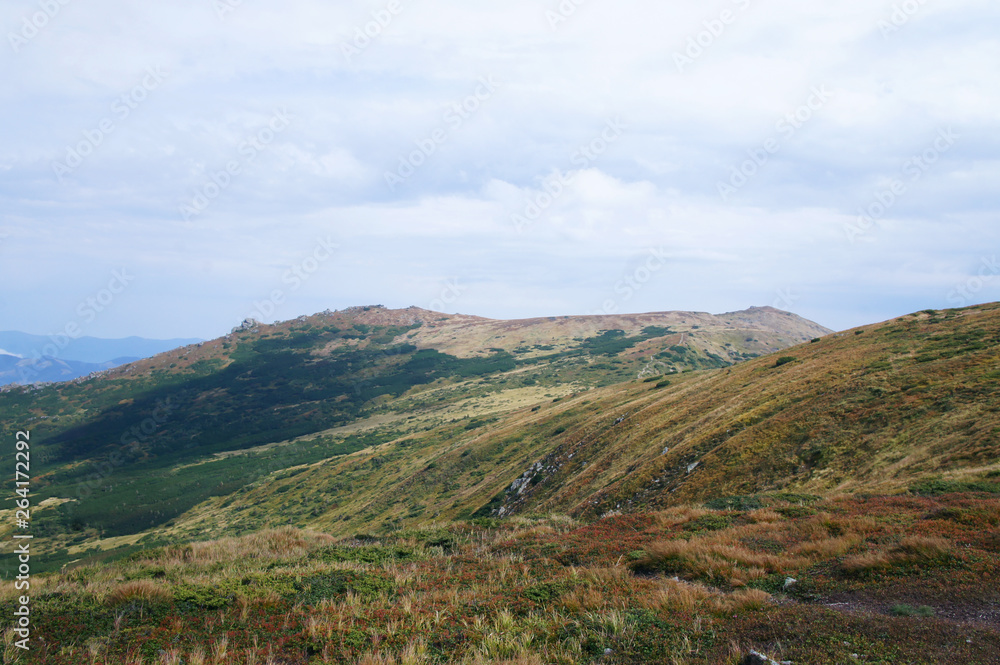 Mountain landscape with green grass against the sky. Panoramic view of the cliffs without people. Wildlife on hills and altitude.