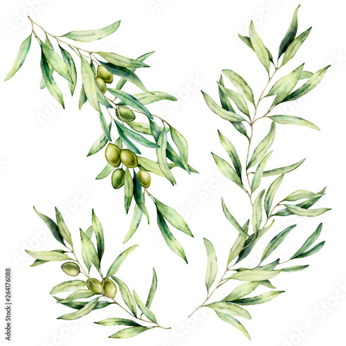 Watercolor olive tree branch set with leaves and green olives. Hand painted floral illustration isolated on white background for design, print, fabric or background. photo