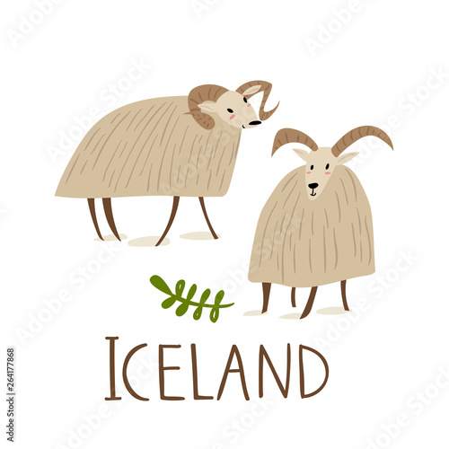 Iceland nature vector symbols sheeps with text.