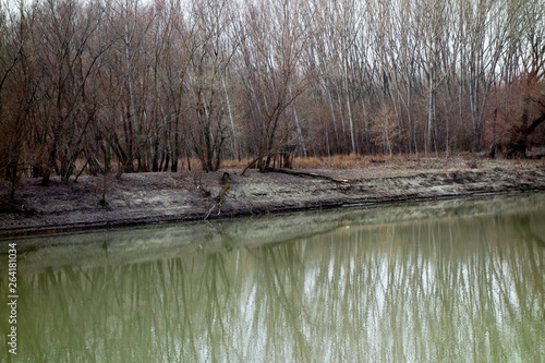 Remember the Borcea arm, km.93, in February 2019  2 photo