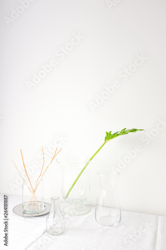 Dried flower and green leaf plant in glass vases on white table top on white wall background in natural light with empty copy space for text or mock up placement. Minimal interior design concept