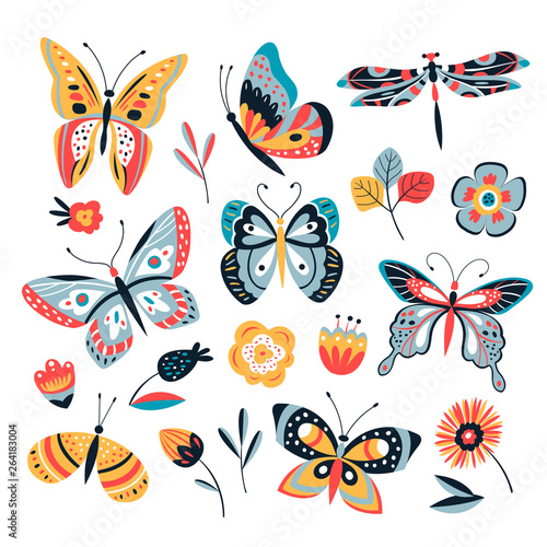 Photography Color drawing butterfly