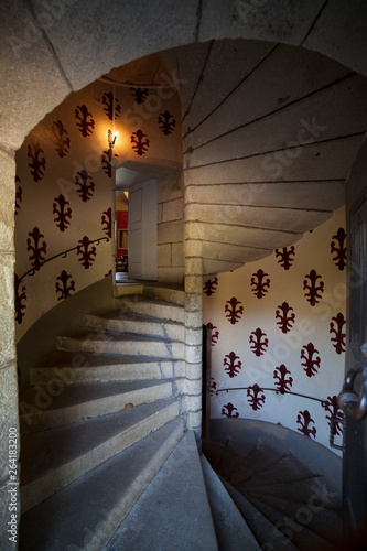 Francia, la regione del Auvergne. Il castello d' Auzers. photo