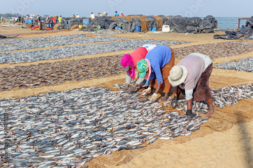 Vászonkép people working at beach fish market in Negombo