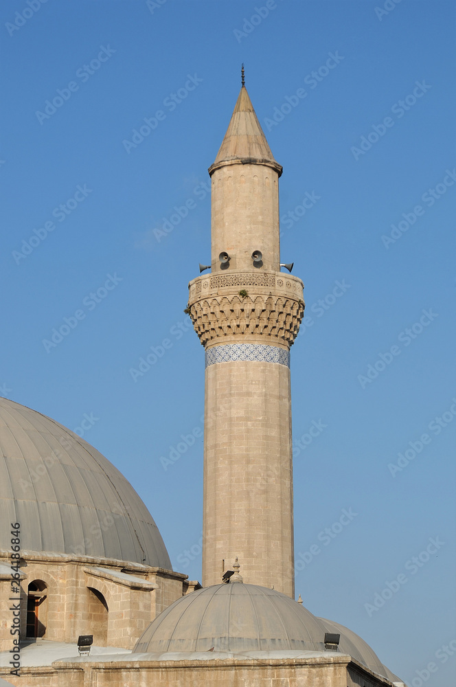 Obraz premium Hüsreviye Mosque in Aleppo