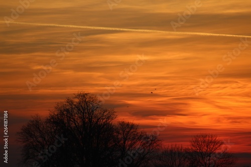 Obraz na płótnie Słońce Faza Końcowa-Sunset w salonie