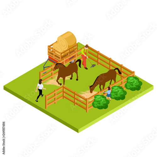 Horse farm 3d isometric vector location isolated. Farm with mare and stallion illustration