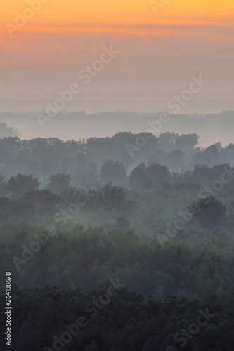 Wallpaper Mural Mystical view from top on forest under haze at early morning. Mist among layers from tree silhouettes in taiga under predawn sky. Calm morning atmospheric minimalistic landscape of majestic nature. Torontodigital.ca