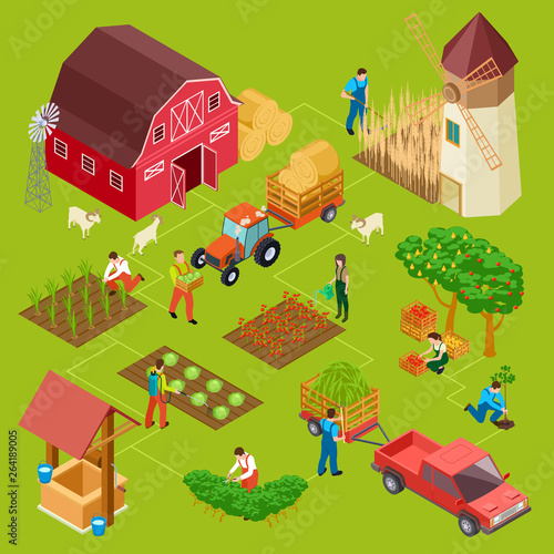 Fruits and vegetables farm, isometric gardening vector concept. Illustration of barn and mill, hay and tractor, agriculture gardening