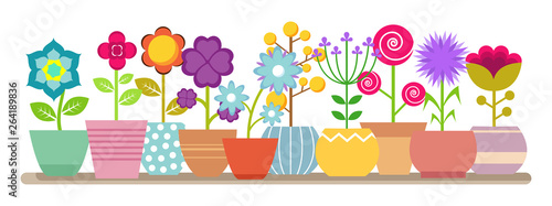 Spring and summer flowers in the pots - vector house plants illustration. Flower pot, house botanical plant, bloom flowers potted