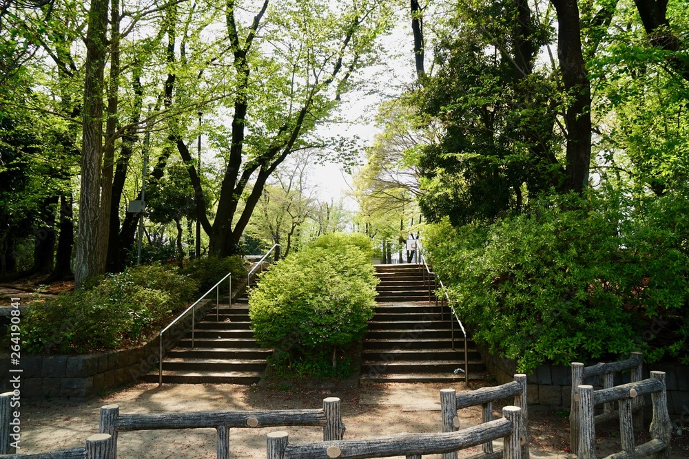 新緑の公園