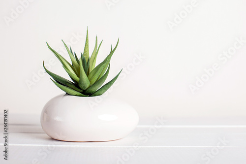 Succulent, artificial flower, modern style, white background