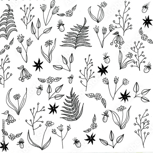  graphic drawing with flowers and exotic plants on a white background