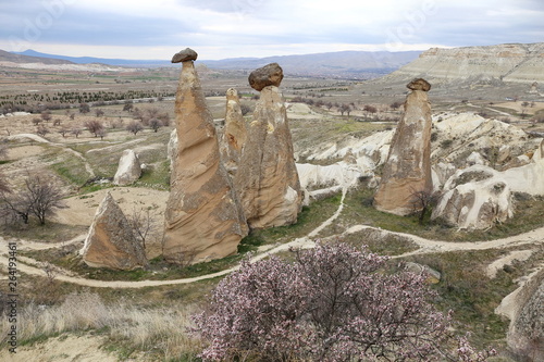 Landscapes of Cappadocia valleys with tuff towers, Turkey 