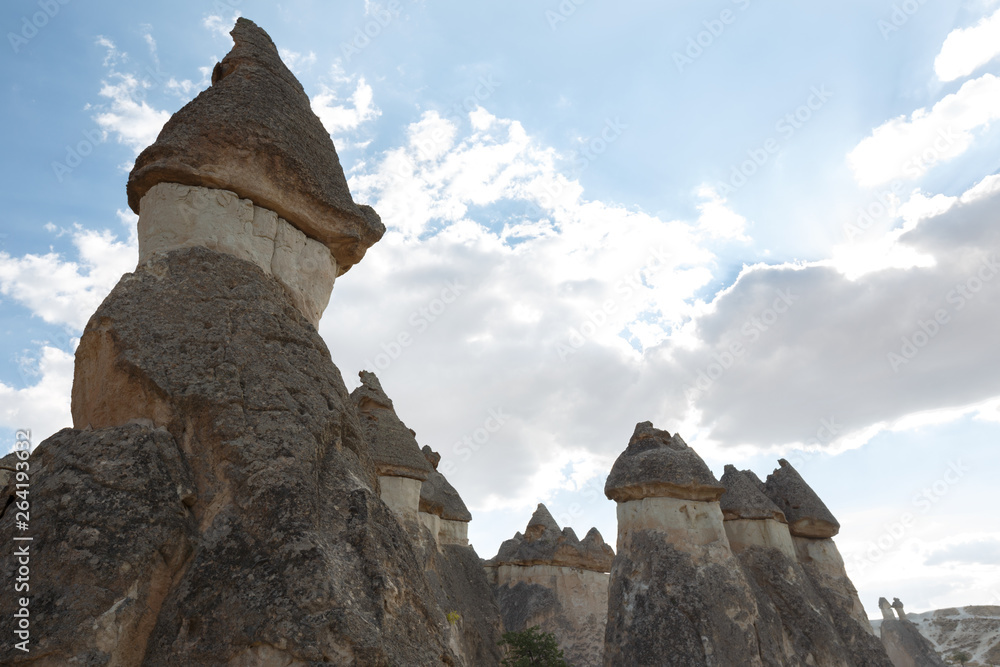 Famous stone mushrooms. Cappadocia