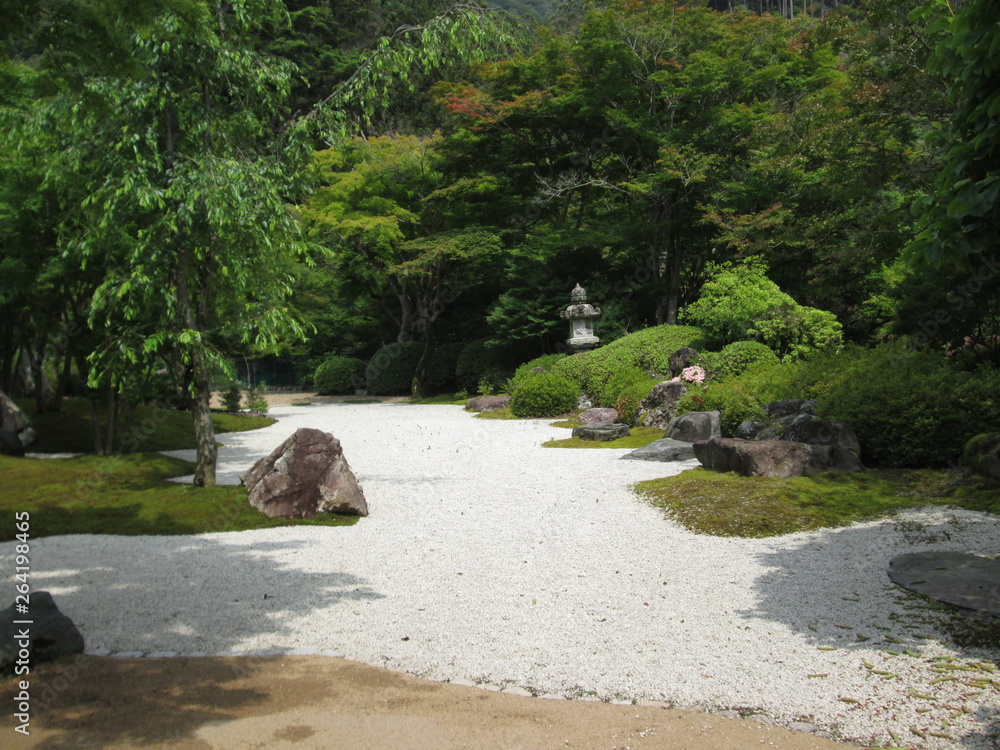 Fototapeta premium 日本庭園