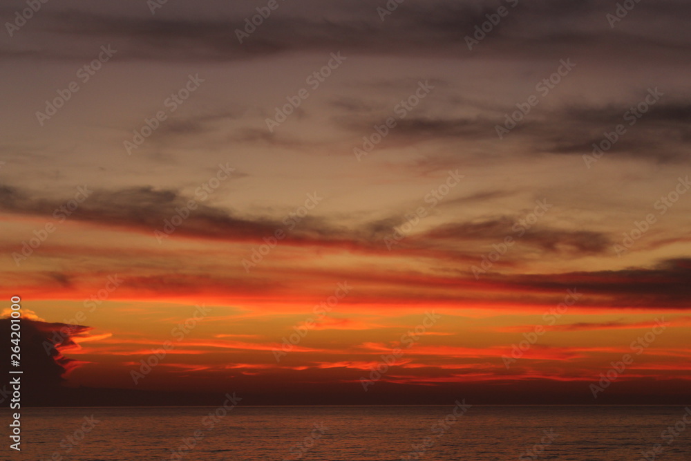 The morning on the beach provides a show of nature textures.