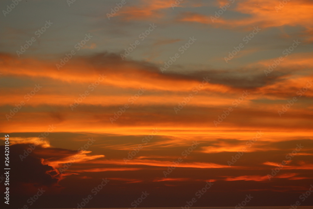 The morning on the beach provides a show of nature textures.