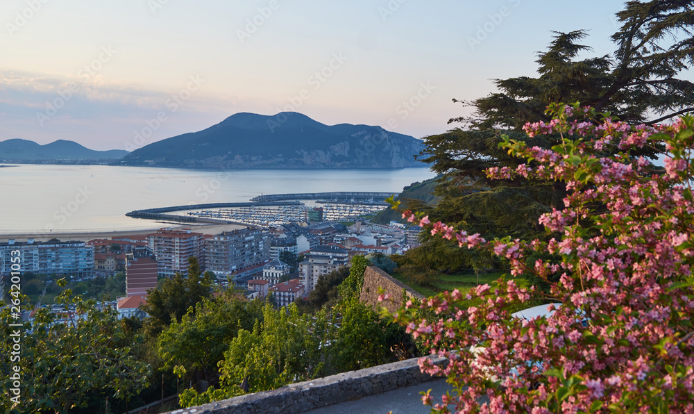 Fototapeta premium laredo