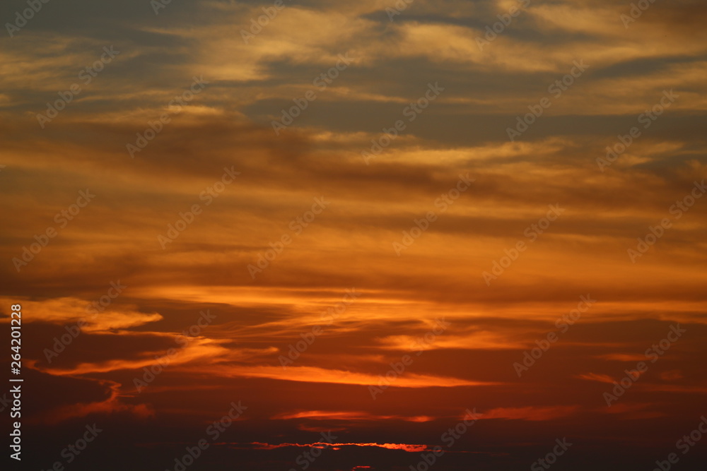 The morning on the beach provides a show of nature textures.