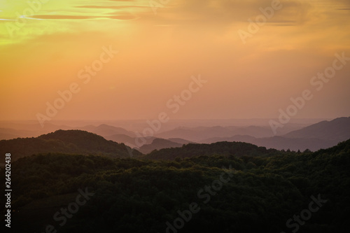 the pyrenees forest during a sunset, Occitanie, Roquefixade, France photo