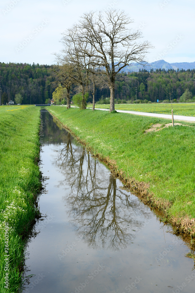 Entwässerungskanal mit Spiegelbild von Bäumen, Linthebene bei Tuggen, Schwyz, Schweiz