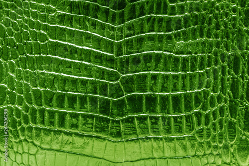 Lime green crocodile skin glossy shine background texture. © Ongsa S