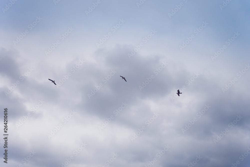 cloudy sky background