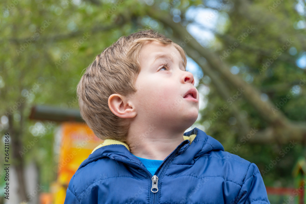 Small child looking up at the trees Small child looking up at the trees