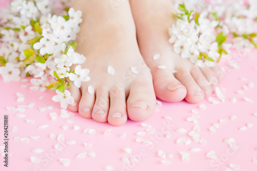 Young, perfect woman's feet on pastel pink background. Care about clean, soft, smooth skin. Pedicure and manicure beauty salon. Beautiful branches of white cherry blossoms and petals. Fresh flowers. 